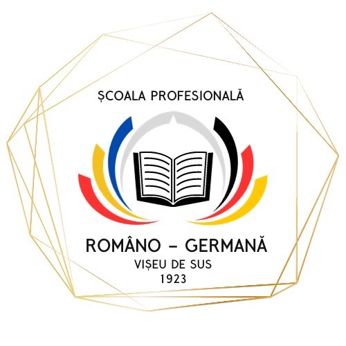 Scoala Romano Germana Viseu de Sus